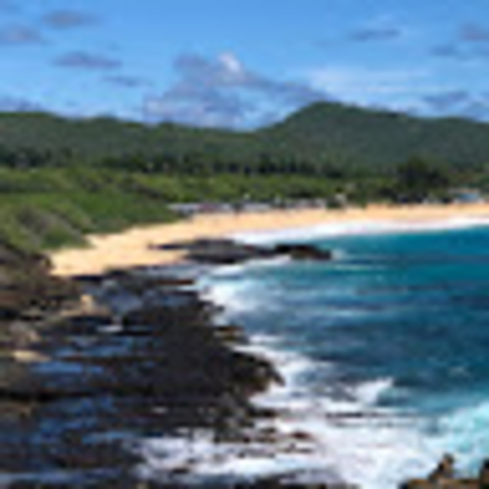 Meet your Posher, Elle